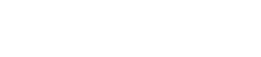 Digital Echidna logo